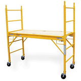 Multi-Purpose Scaffold