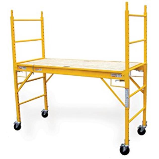 Multi-Purpose Scaffold