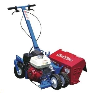 Bed Edger, Gas Powered