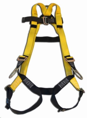 Safety Harness with Lanyard